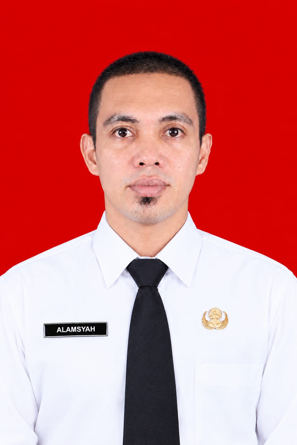 ALAMSYAH, ST